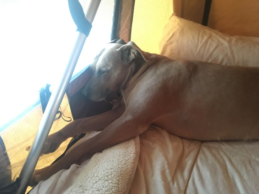 507D3DB2-CE7B-4A4B-8922-4FB0DF0A5538